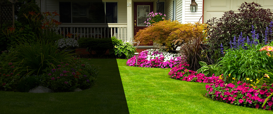 Rialto Landscapers