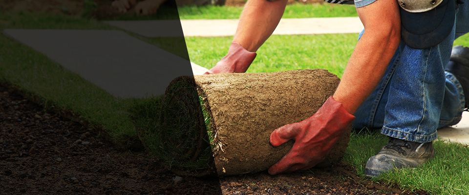 Rialto Landscapers